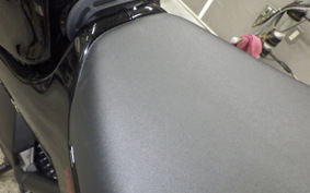 YAMAHA XSR900 2023 RN80J