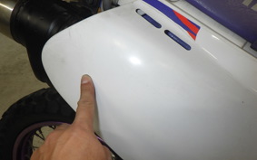 YAMAHA TT250R 2018 4GY