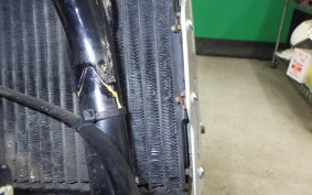 YAMAHA RZ250R 2009 29L