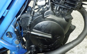 HONDA RACOON