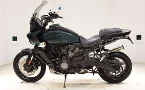 HARLEY PAN AMERICA 1250 S 2024