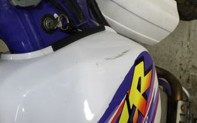 YAMAHA TT250R 2009 4GY