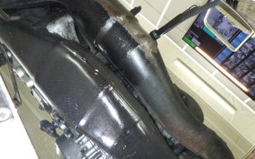 YAMAHA R1-Z 2023 3XC