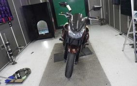 KAWASAKI Z1000 Gen.4 2010