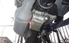 YAMAHA YZF-R25 A RG95J