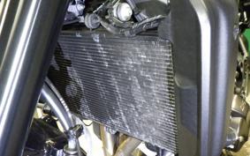YAMAHA XSR900 2025 RN96J