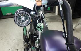 HARLEY FXBB1920 2025