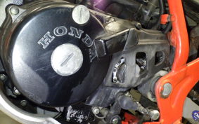 HONDA TLR200 2007 MD09