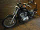Фото Harley XL883L Sportster 2008 с японского аукциона