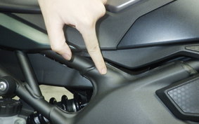 KAWASAKI ZX-4R SE 2025 ZX400P