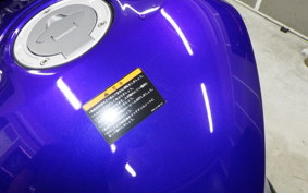 YAMAHA YZF R-3 2024 RH21J