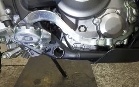 HONDA CRF250 GEN 2 RALLY 2020 MD47