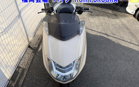 YAMAHA MAXAM 250