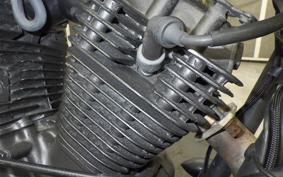 YAMAHA VIRAGO 250 2023 3DM