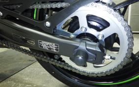 KAWASAKI ZX-4RR 2024 ZX400P