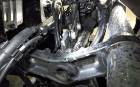 KAWASAKI VERSYS 250 A 2004 LE250D