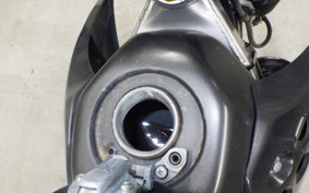 KAWASAKI KLX125 2024 LX125C