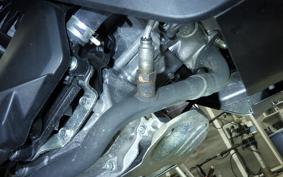 HONDA LEAD 125 2026 JK12