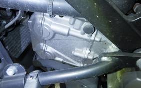 SUZUKI DL650 ( V-Strom 650 ) XTA 2019 C733A