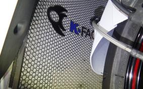 KAWASAKI ZX 1400 NINJA R A 2020