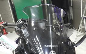KAWASAKI NINJA 1000SX 2024 ZXT02K