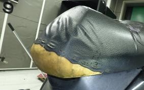 YAMAHA CYGNUS 125 XSR 2025 SE12J