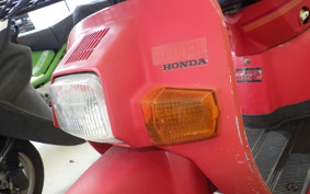 HONDA SQUASH AB11