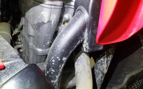 HONDA CRF250 RALLY A 2009 MD44