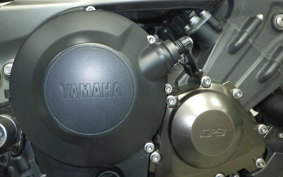 YAMAHA MT-09 2014 RN34J