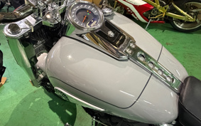 HARLEY FLFB 2025 YF9