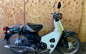 HONDA SUPER CUB50 AA01