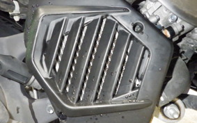 HONDA TACT Basket AF79