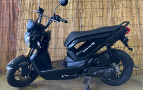 HONDA ZOOMER-X JF52