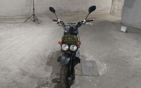 HONDA ZUMAR AF58
