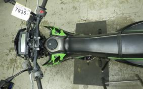 KAWASAKI KLX250D TRACKER X 2019 LX250V
