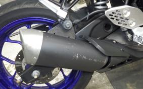 YAMAHA YZF-R25 2024 RG43J