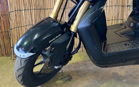HONDA ZOOMER-X JF52