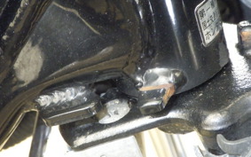 HONDA APE 50 2022 AC18
