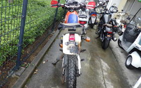 HONDA XLR250R GEN 2 2023 MD20