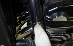 KAWASAKI Z900RS 2024 ZR900K
