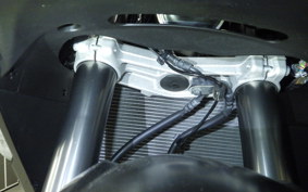 KAWASAKI NINJA 1000SX 2022 ZXT02K