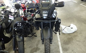 HONDA NX400 2024 NC65