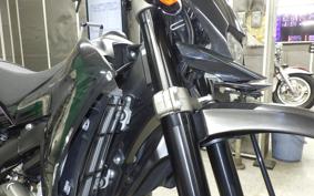 YAMAHA WR250X DG15J