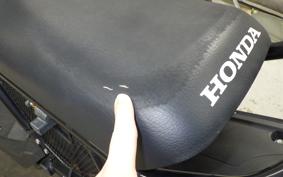 HONDA ZOOMER 2021 AF58