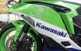KAWASAKI ZX-4RR 2024 ZX400P