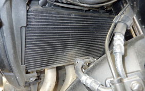 HONDA NX400 2024 NC65