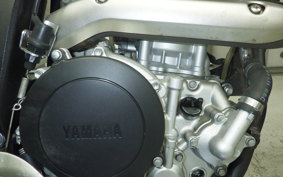 YAMAHA WR250X 1998 DG15J
