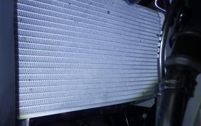 YAMAHA YZF-R25 A RG95J