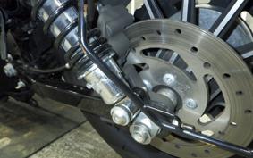 HARLEY XL883N 2015