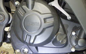 YAMAHA YZF-R25 2024 RG43J